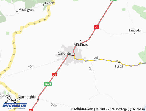 Mapa MICHELIN Salonta - ViaMichelin