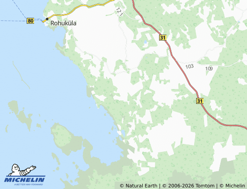 Carte MICHELIN Metsaküla - ViaMichelin