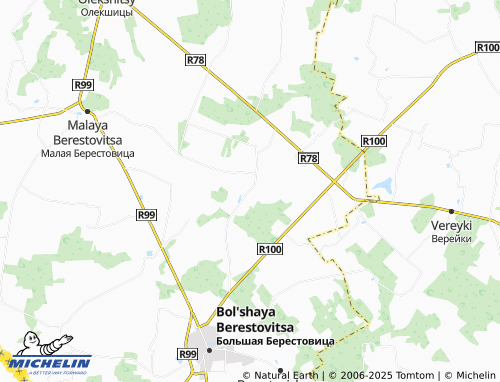 MICHELIN Parkhimovtsy map - ViaMichelin