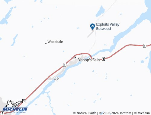 Mappa MICHELIN Bishop's Falls - ViaMichelin