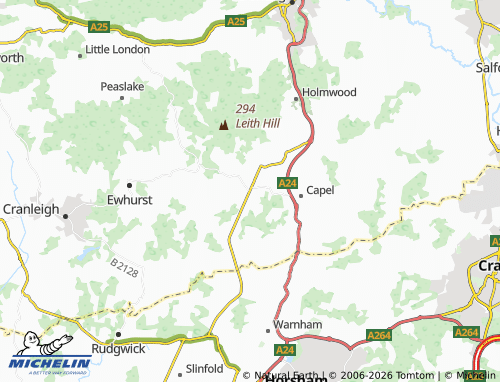 Carte MICHELIN Ockley - ViaMichelin