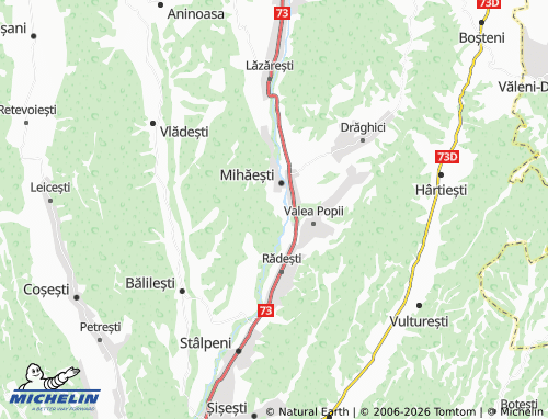 MICHELIN-Landkarte Valea Bradului - ViaMichelin