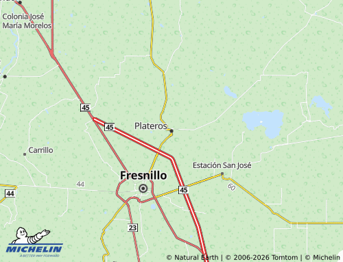 MICHELIN Plateros map - ViaMichelin