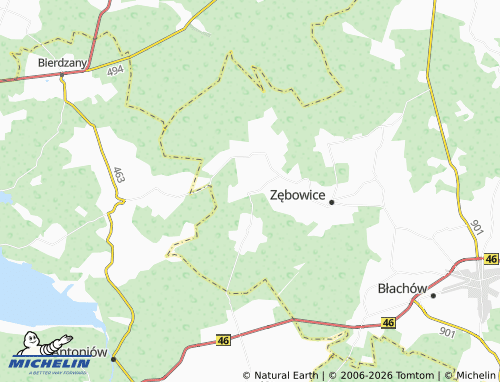 Carte MICHELIN Łąka - ViaMichelin