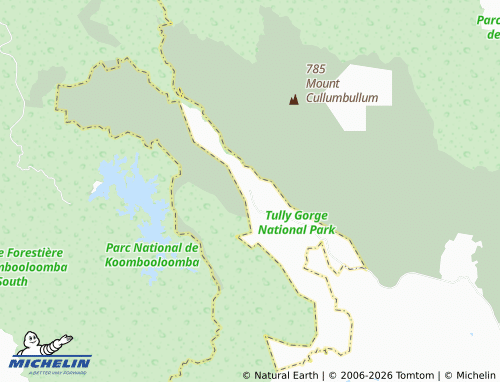 MICHELIN Cardstone map - ViaMichelin
