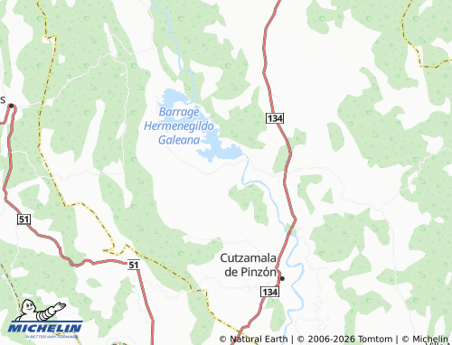 Mappa MICHELIN Nuevo Galeana - ViaMichelin