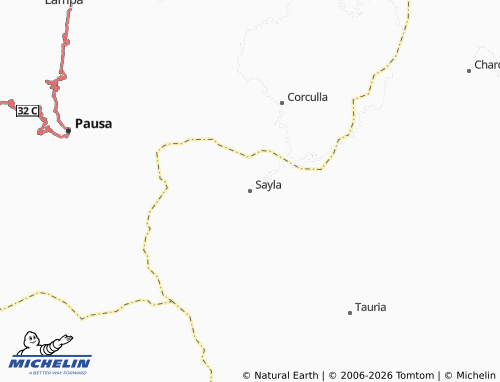 Mappa MICHELIN Sayla - ViaMichelin