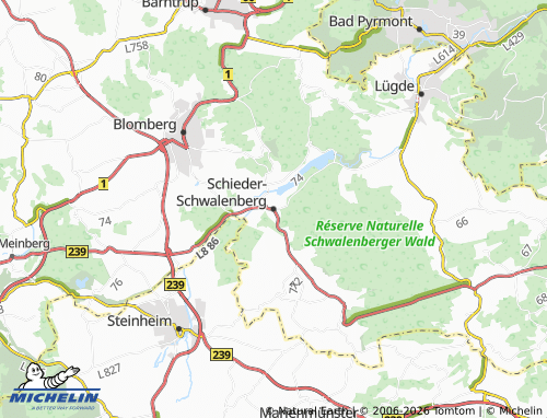 MICHELIN Schieder-Schwalenberg map - ViaMichelin