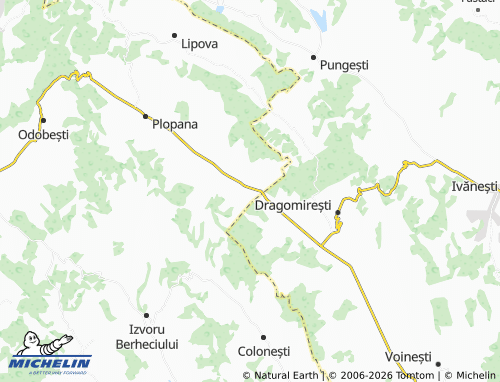 MICHELIN Străminoasa map - ViaMichelin