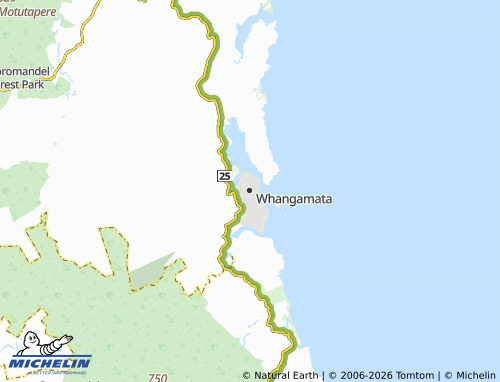 Mapa MICHELIN Whangamata - ViaMichelin