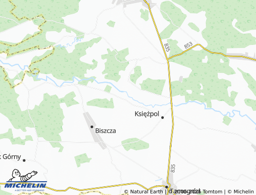 Mapa MICHELIN Zynie - ViaMichelin