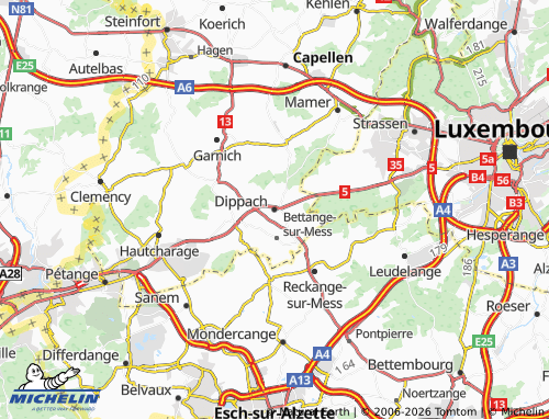 MICHELIN Dippach map - ViaMichelin