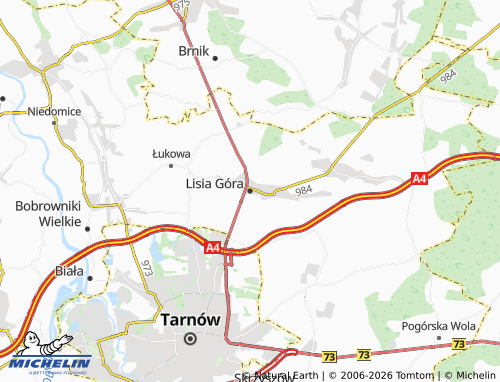 MICHELIN Lisia Góra map - ViaMichelin