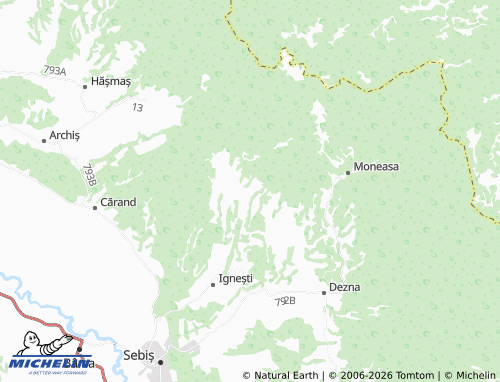 Mappa MICHELIN Nădălbești - ViaMichelin