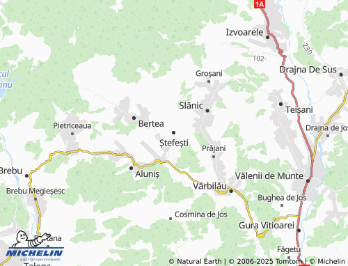 MICHELIN Ștefești map - ViaMichelin