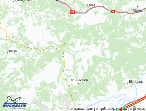 MICHELIN Valea Mare map - ViaMichelin
