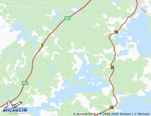 MICHELIN-Landkarte Ruokonen - ViaMichelin