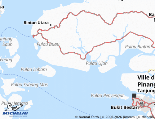 Mapa MICHELIN Busung - ViaMichelin