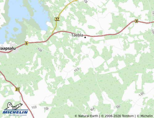 Mapa MICHELIN Aamse - ViaMichelin