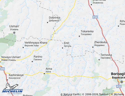 MICHELIN Ertil'skiy rayon map - ViaMichelin