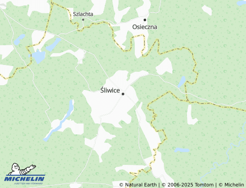 MICHELIN Śliwice map - ViaMichelin