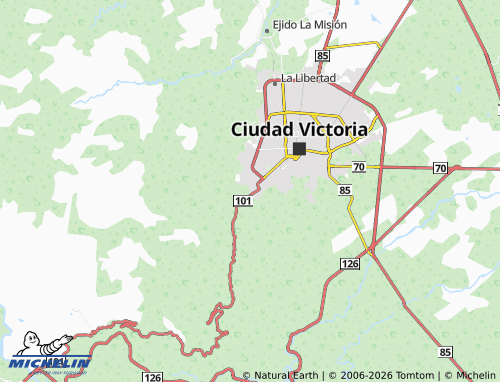Mappa MICHELIN Ejido Tamatán - ViaMichelin
