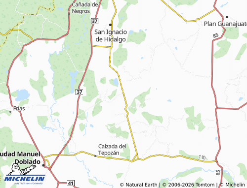 Mappa MICHELIN Piedras Negras - ViaMichelin