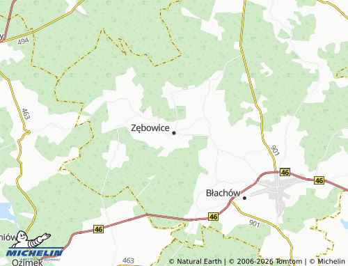 MICHELIN-Landkarte Zębowice - ViaMichelin