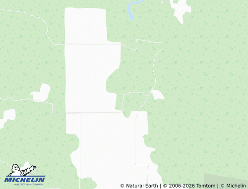 Mappa MICHELIN Licenciado Salinas de Gortari - ViaMichelin