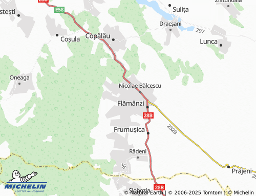 MICHELIN Poiana map - ViaMichelin