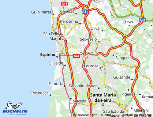 MICHELIN Nogueira da Regedoura map - ViaMichelin