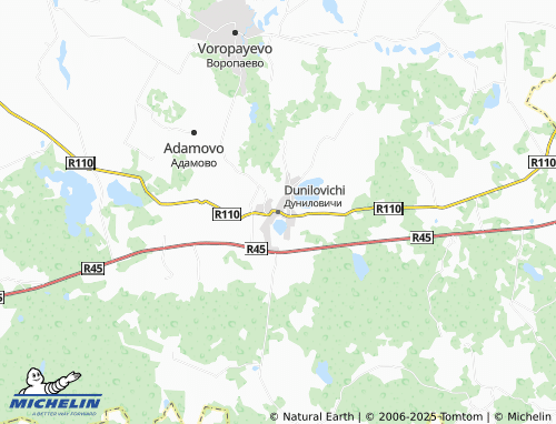 MICHELIN Dunilovichi map - ViaMichelin