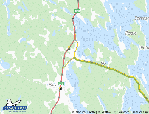 MICHELIN Konginkangas map - ViaMichelin