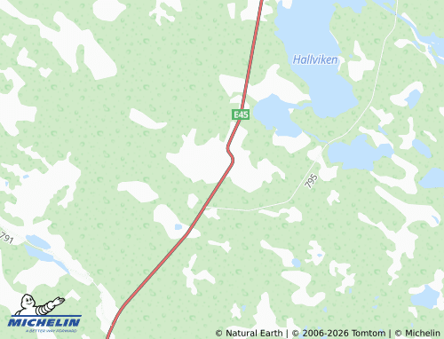 MICHELIN Hallviken map - ViaMichelin