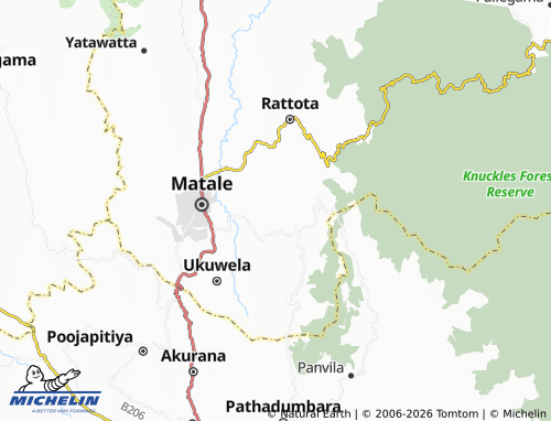Mapa MICHELIN Palleyaya - ViaMichelin