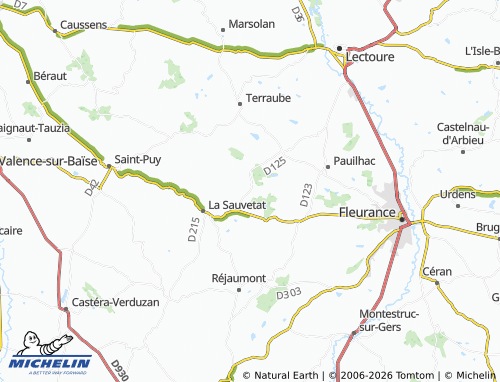 MICHELIN Lamothe-Goas map - ViaMichelin
