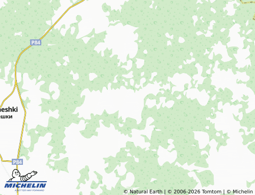 Carte MICHELIN Lyadiny - ViaMichelin