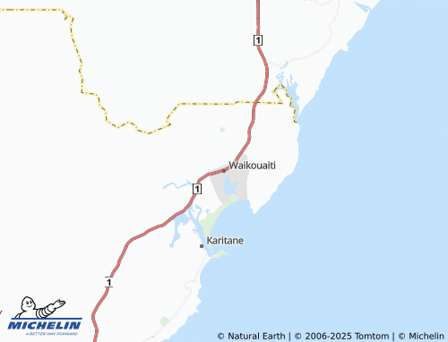MICHELIN Waikouaiti map - ViaMichelin