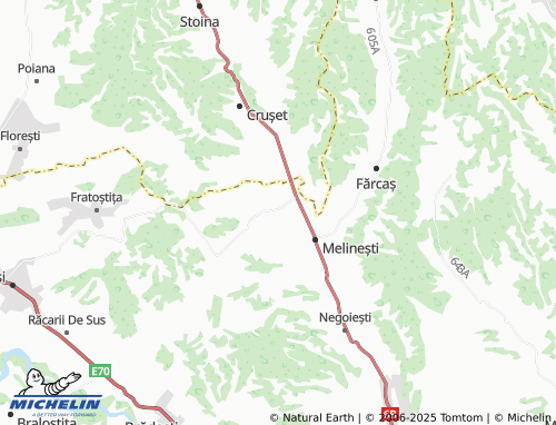 MICHELIN Bodăiești map - ViaMichelin