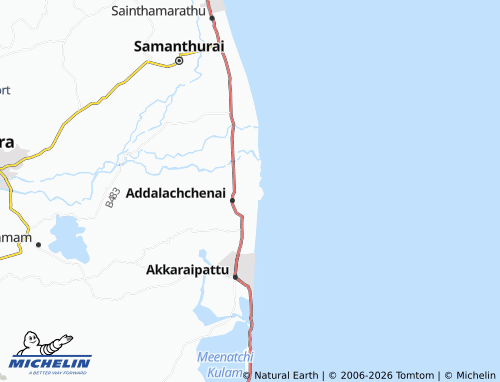 Mappa MICHELIN Palamuna 01 - ViaMichelin