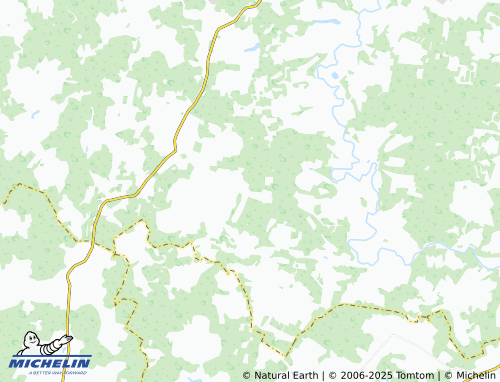 MICHELIN Molniya SNT map - ViaMichelin