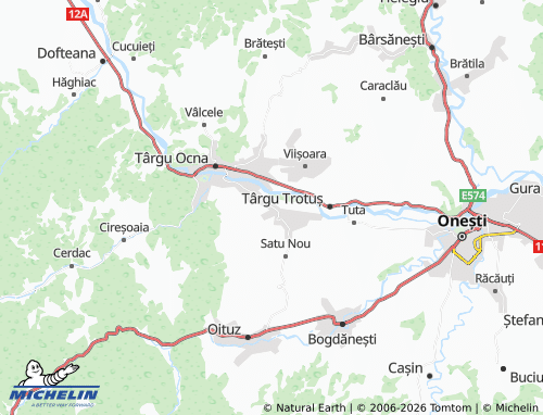 Mappa MICHELIN Pârâu Boghii - ViaMichelin