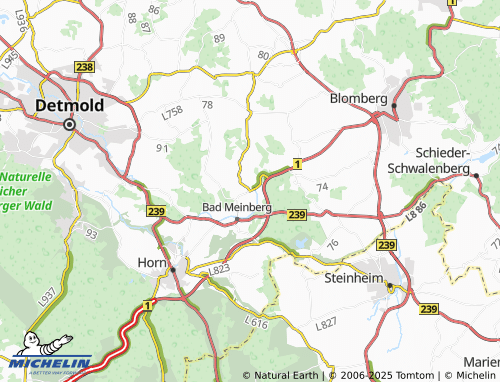 Carte MICHELIN Wehren - ViaMichelin