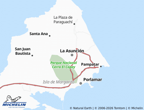 Carte MICHELIN La Asunción - ViaMichelin
