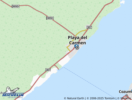 MICHELIN La Joya Campestre map - ViaMichelin