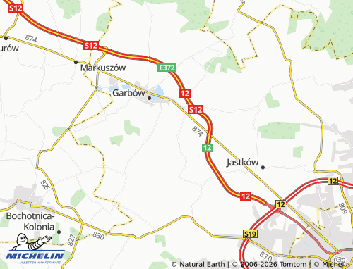 MICHELIN Bogucin map - ViaMichelin