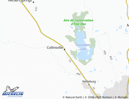 MICHELIN Collinsville map - ViaMichelin