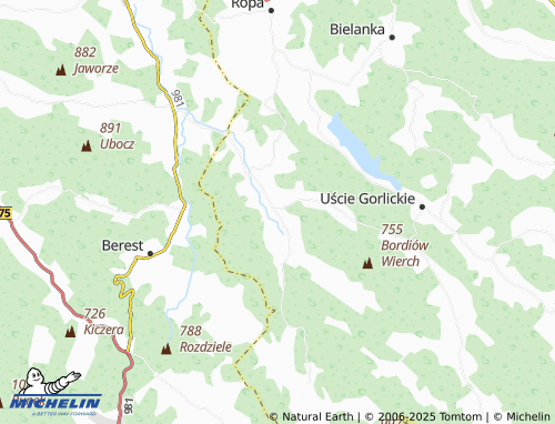 MICHELIN Śnietnica map - ViaMichelin