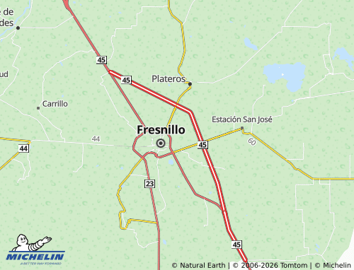 Mappa MICHELIN General Jesús González Ortega - ViaMichelin