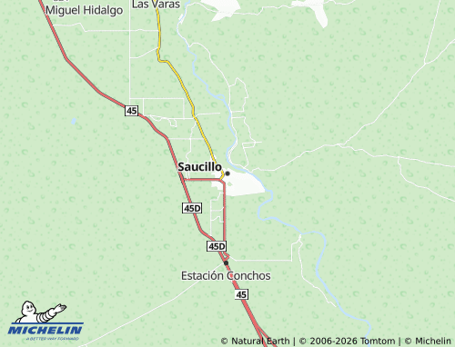 Carte MICHELIN Saucillo - ViaMichelin